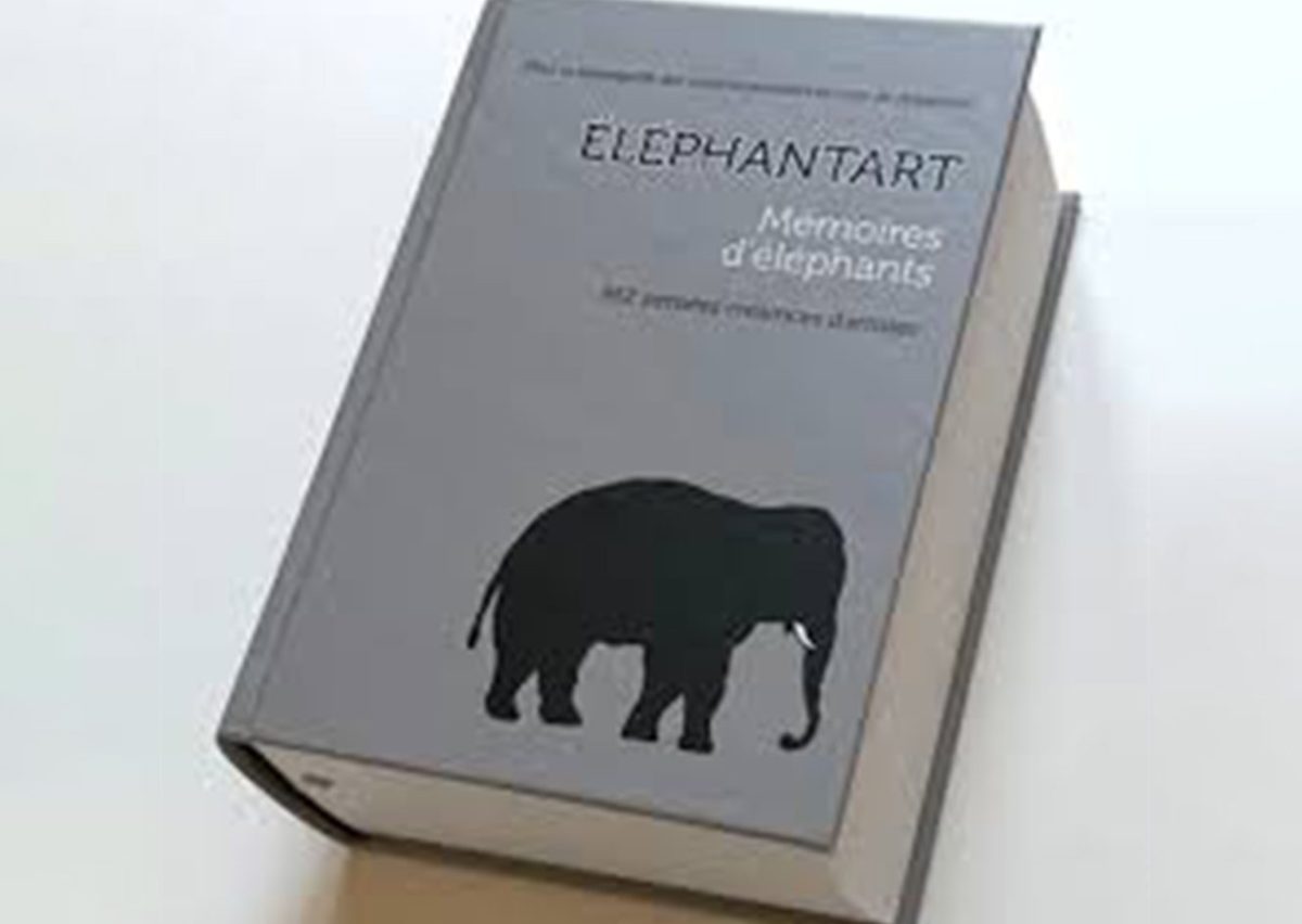 MEMÓRIAS DE ELEFANTES